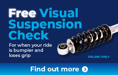 Free Visual Suspension Check